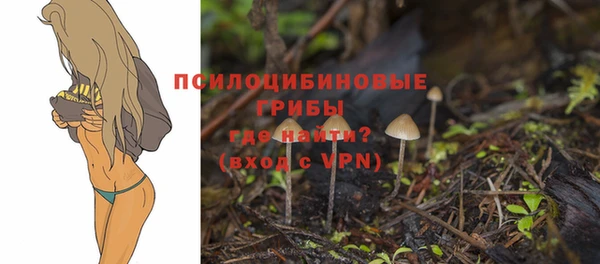 СК Баксан