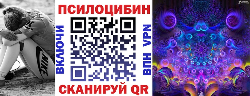 гидра tor  Биробиджан  Псилоцибиновые грибы MAGIC MUSHROOMS  сколько стоит 